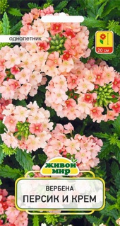 Вербена Персик и крем (W. Legutko) 0,1 г, РБ