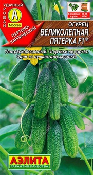 Огурец Великолепная пятерка F1, 10 шт, РФ