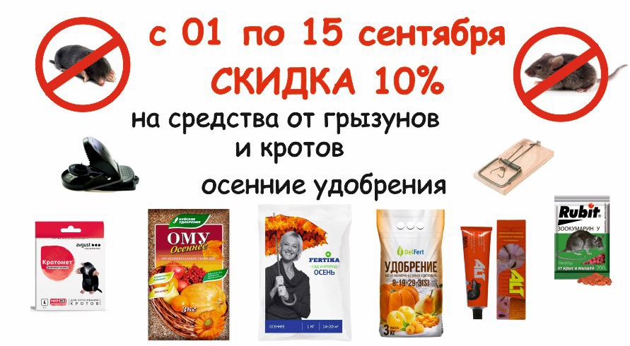 акция месяца