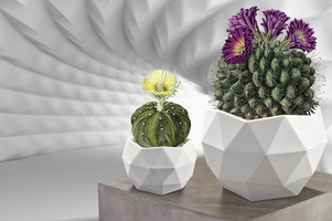 Коллекция Топаз