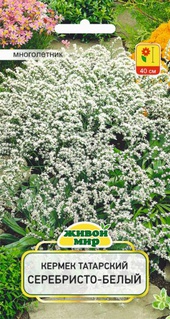 Кермек татарский Серебристо-белый (W. Legutko) 0,1 г, РБ