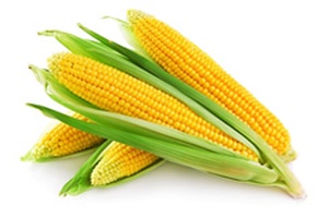 Кукуруза
