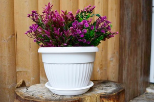 Коллекция Флора