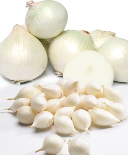 Лук севок фасованный Сноуболл (10-21 мм) 0,5 кг, Нидерланды