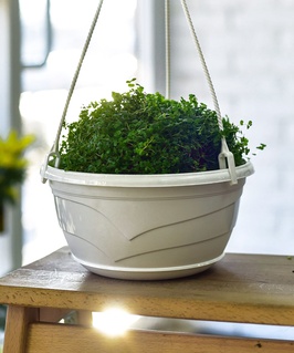 Подвесной горшок Венеция, D25,5см, 4 л, крем с поддоном, РФ