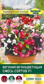 Бегония вечноцветущая Смесь сортов F1 (Cerny seed) 10 шт, РБ
