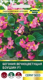 Бегония вечноцветущая Боушин F1 (Cerny seed) 10 шт, РБ