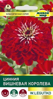 Цинния Вишневая королева (W. Legutko) 1 г, РБ