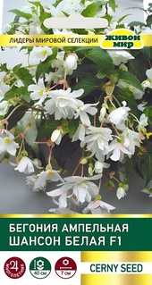 Бегония ампельная Шансон Белая F1 (Cerny seed) 10 шт, РБ