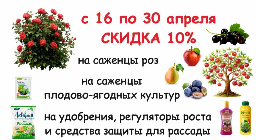 акция месяца