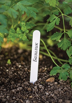 Таблички для рассады бел. 15х1,5см, 25шт.+ кар, Польша