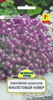 Лобулярия (Алиссум) Фиолетовый ковер (W. Legutko) 0,3 г, РБ