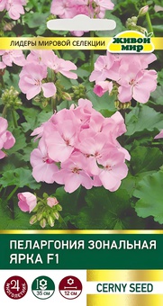 Пеларгония зональная Ярка F1 (Cerny seed) 3 шт, РБ