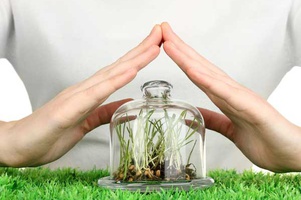 Средства от болезней растений