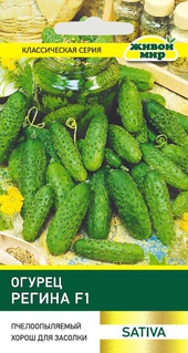 Огурец Регина F1 (Sativa) 1 г, РБ