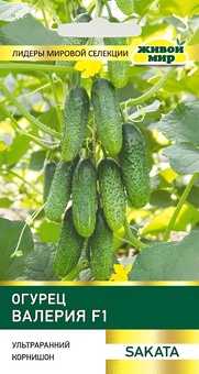 Огурец Валерия F1 (Sakata) 5 шт, РБ