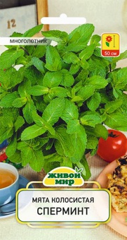 Мята колосистая Сперминт (W. Legutko) 0,1 г, РБ