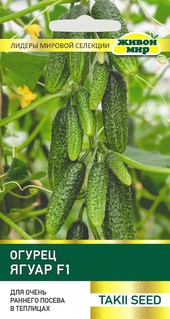 Огурец Ягуар F1 (Takii seed) 5 шт, РБ