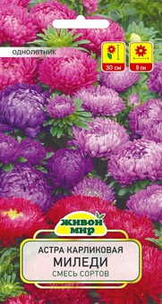 Астра Миледи карликовая смесь сортов (W. Legutko) 0,5 г, РБ