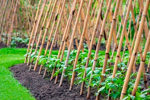 Опоры для растений бамбук, кокос