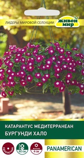 Катарантус Медитерранеан Бургунди Хало (PanAmerican Seed) 5 шт, РБ