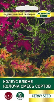 Колеус блюме Колоча cмесь (Cerny seed) 10 шт, РБ