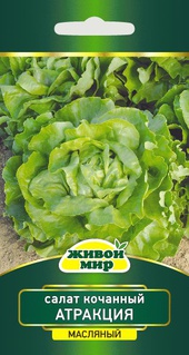 Салат кочанный Атракция (W. Legutko) 1 г, РБ