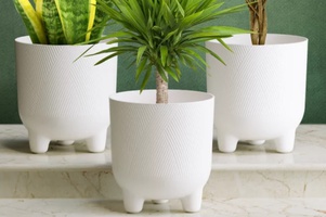 Коллекция Фита