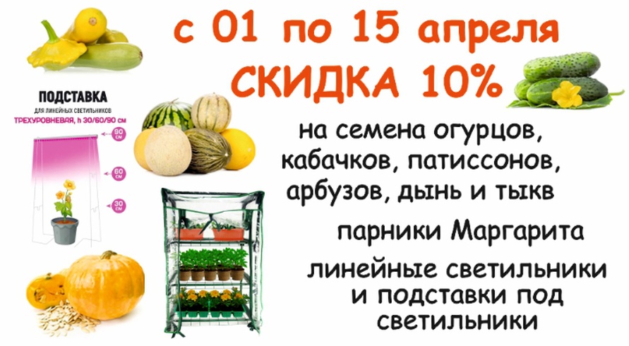 акция месяца