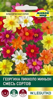 Георгина Пикколо Миньон смесь (W. Legutko) 0,5 г, РБ