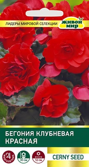 Бегония клубневая Красная (Cerny seed) 10 шт, РБ