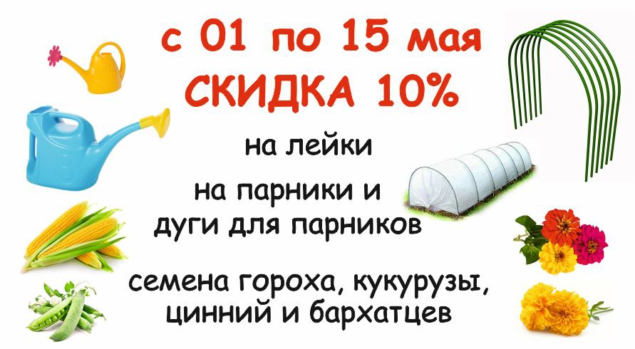 акция месяца