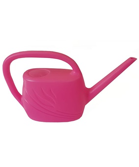 Лейка 2 л без рассеивателя Гардения (011526), РФ