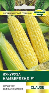 Кукуруза Камберленд F1 (Clause) 15 шт, РБ