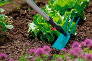 Инструмент малый