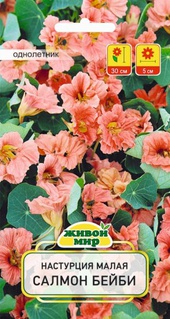Настурция малая Салмон Беби (W. Legutko) 1 г, РБ