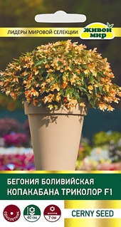Бегония боливийская Копакабана Триколор F1 (Cerny seed) 5 шт, РБ