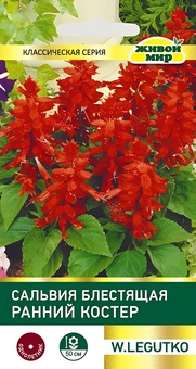 Сальвия блестящая Ранний костер (W. Legutko) 0,2 г, РБ