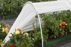 Парники, спанбонд