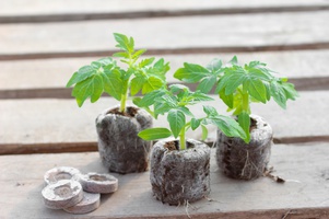 Торфяные и кокосовые изделия