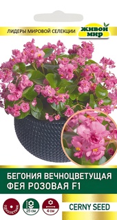 Бегония вечноцветущая Фея розовая F1 (Cerny seed) 10 шт, РБ