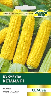 Кукуруза Кетама F1 (Clause) 15 шт, РБ