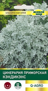 Цинерария приморская Кэндикэнс (Q-Agro) 0,1 г, РБ