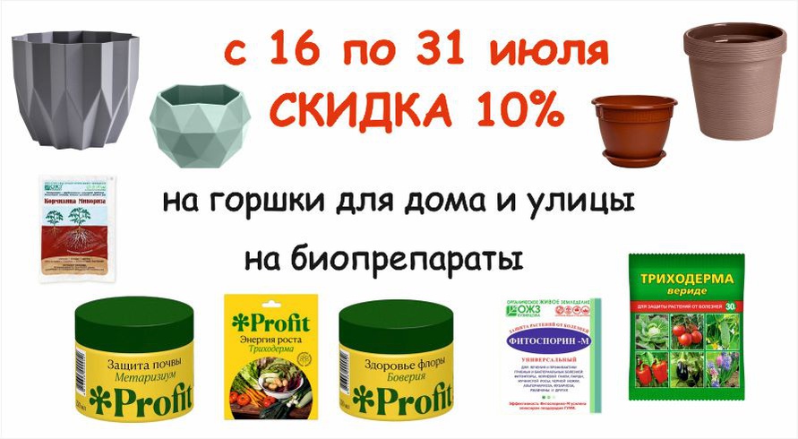 акция месяца