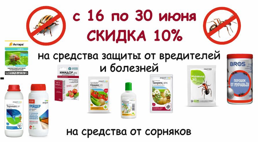 акция месяца
