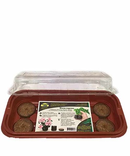 Парник для рассады с кокосовыми таблетками 10 шт, Нидерланды