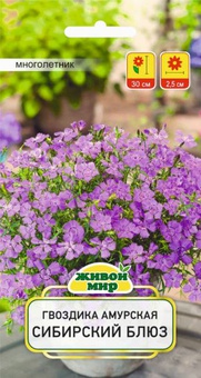 Гвоздика амурская Сибирский блюз (W. Legutko) 0,1 г, РБ