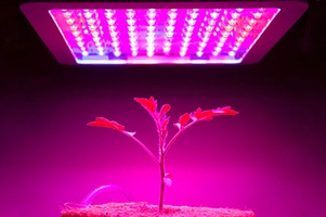 Парники на подоконник, светильники