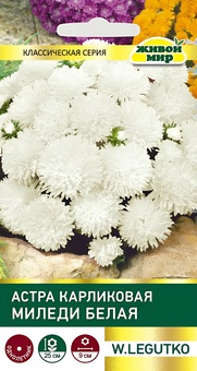 Астра Миледи белая карликовая (W. Legutko) 0,3 г, РБ