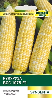 Кукуруза БСС1075 F1 (Syngenta) 15 шт, РБ